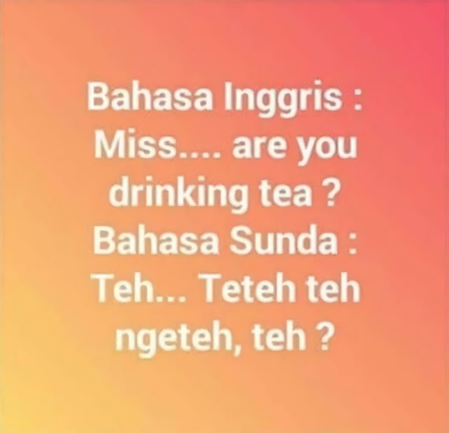 Bahasa Indonesia VS Bahasa Daerah